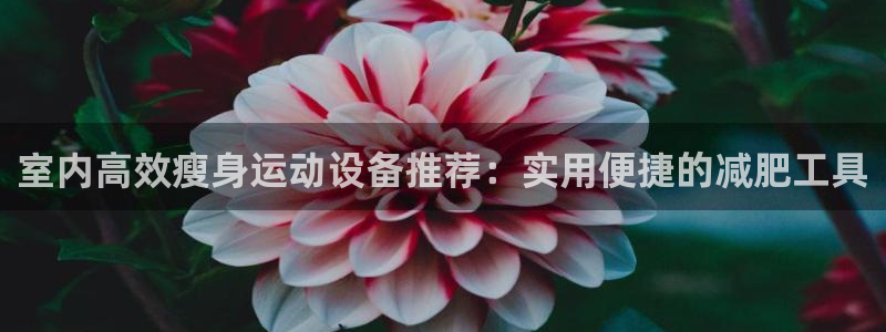 意昂体育5(KGAME)娱乐:室内高效瘦身运动设备推荐:实用