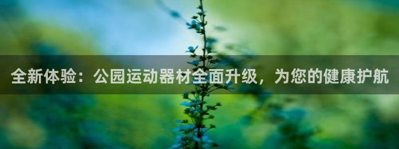 意昂5(KGAME)集团:全新体验:公园运动器材全面升级,为